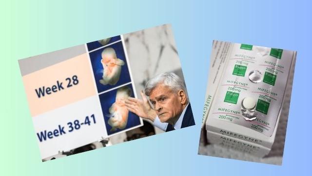 Se abre una nueva batalla por el aborto a raíz de las leyes de protección estatal