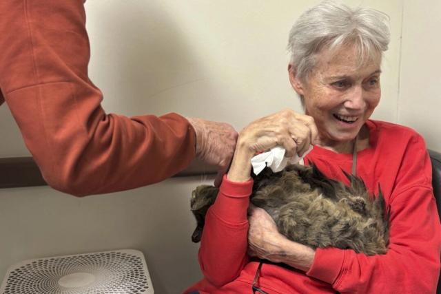 Increíble reencuentro de un gato con su dueña tras incendios forestales de Los Ángeles