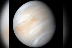 Venus tomada desde la nave espacial Mariner 10 de la NASA. (NASA/JPL-Caltech vía AP)
