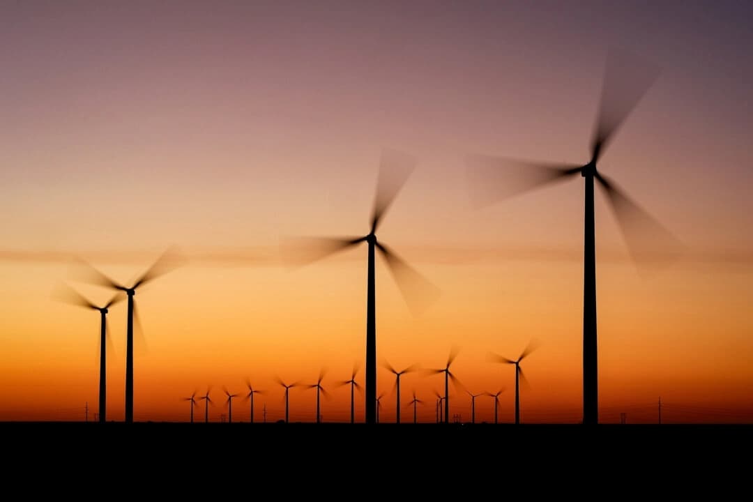 Las turbinas eólicas se extienden por el horizonte en el parque eólico Spearville, cerca de Spearville, Kansas, el 29 de septiembre de 2024. (Charlie Riedel/AP Photo)