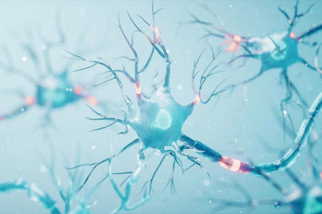 (Vink Fan/Shutterstock)