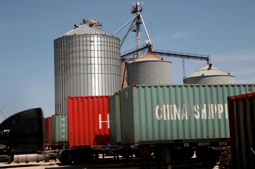 Contenedores de transporte cargados con soja en un silo de Ruff Bros. Grain en Blackstone, Illinois, el 13 de junio de 2018. (Scott Olson/Getty Images).