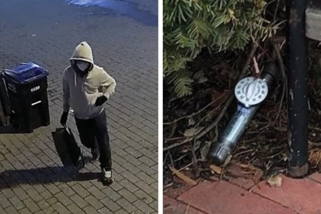 (Izquierda) El sospechoso del bomba-tubo del 6 de enero camina desde la sede del Comité Nacional Demócrata hasta el Capitol Hill Club en la noche del 5 de enero de 2021. (Derecha) La bomba casera del DNC fotografiada el 6 de enero. FBI/Gráfico por The Epoch Times