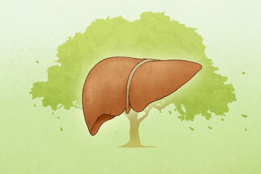 Imagen Ilustrativa: (The Epoch Times/Shutterstock).