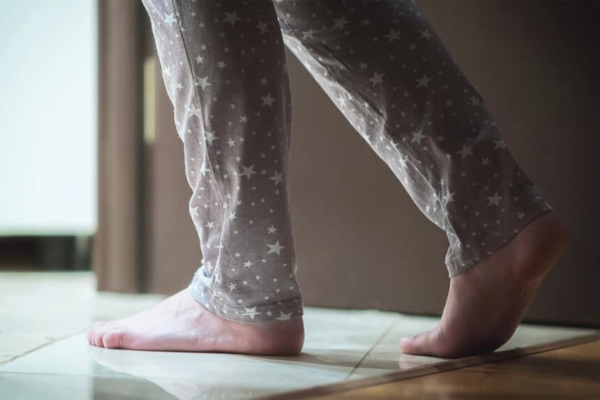 Serge Vo/Shutterstock