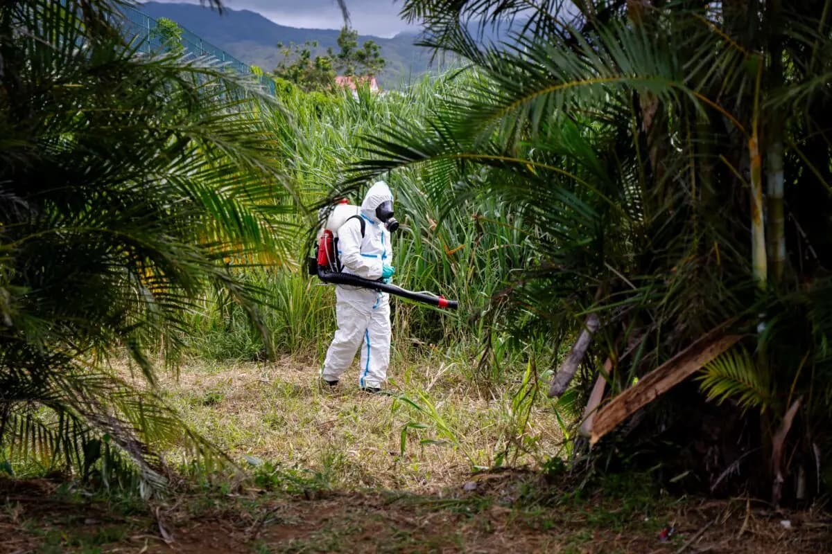 Un agente de control de vectores del ARS opera como parte de la lucha contra la pandemia de chikungunya por mosquitos en Saint-Benoit, en la isla francesa de ultramar de La Reunión, el 22 de abril de 2025. (Ludovic Marin/AFP vía Getty Images)