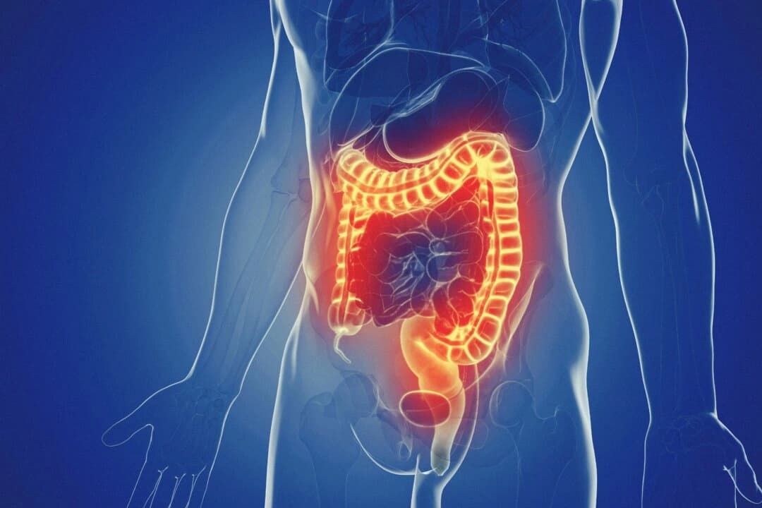 (3dMediSphere/Shutterstock)