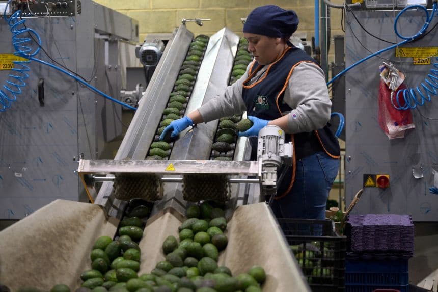 México y Canadá acuerdan impulsar exportación de frutas y hortalizas: “Hemos cumplido todos al 100%”