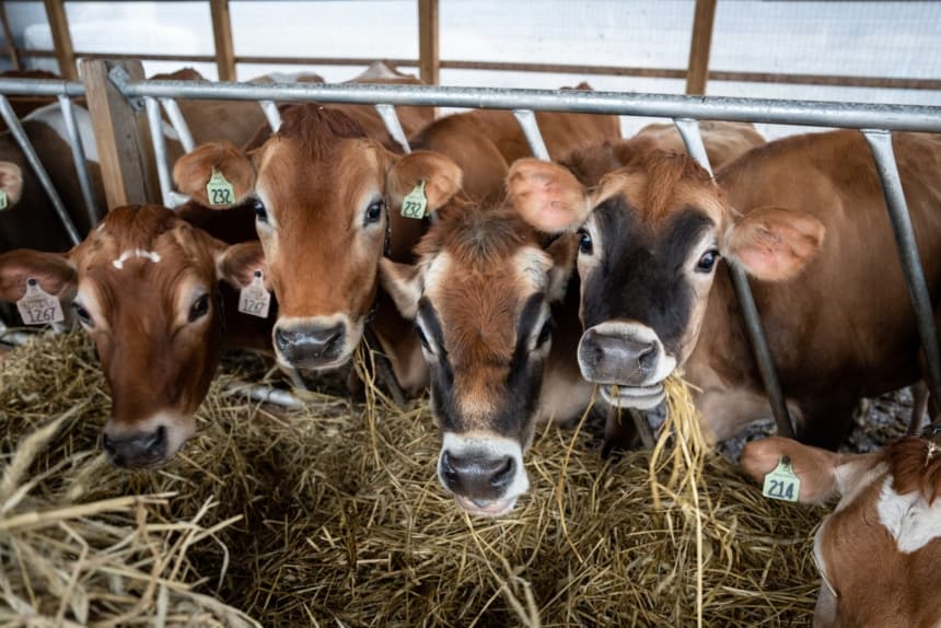 Imagen de Latinoamérica