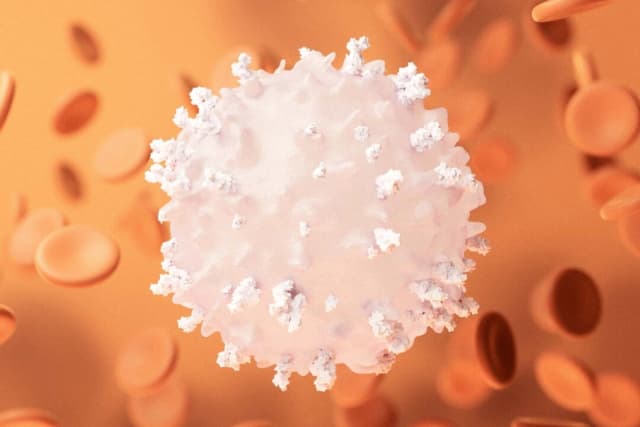 (Vink Fan/Shutterstock)