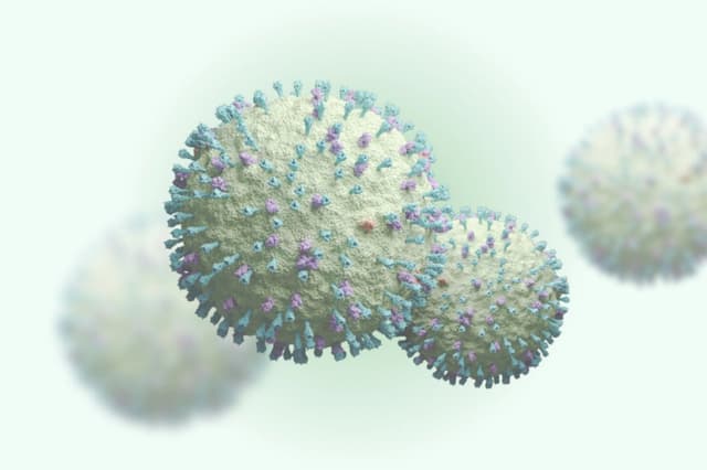 Representación de un virus respiratorio. (joshimerbin/Shutterstock)