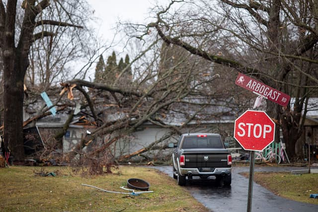 Árboles caídos tras un tornado que azotó varias ciudades del suroeste rural de Míchigan el 7 de marzo de 2026 en Union City, Míchigan. Varias personas murieron y una docena más resultaron heridas por la tormenta en Union City. (Foto de Bill Pugliano/Getty Images)