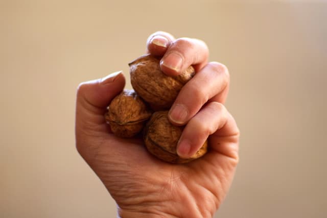 Imagen ilustrativa (Paulette Paiyee/Shutterstock)