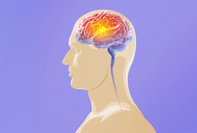 Cerebro de los ancianos. (The Epoch Times/Shutterstock)