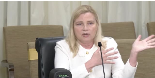 Faye Bernstein, una denunciante que trabaja para el Departamento de Servicios Humanos de Minnesota, testifica ante el Comité de Política de Supervisión de la Agencia Estatal y Prevención del Fraude del Estado en St. Paul, Minn., el 7 de abril de 2026. Captura de pantalla a través de la transmisión en vivo de The Epoch Times/La Cámara de Representantes de Minnesota