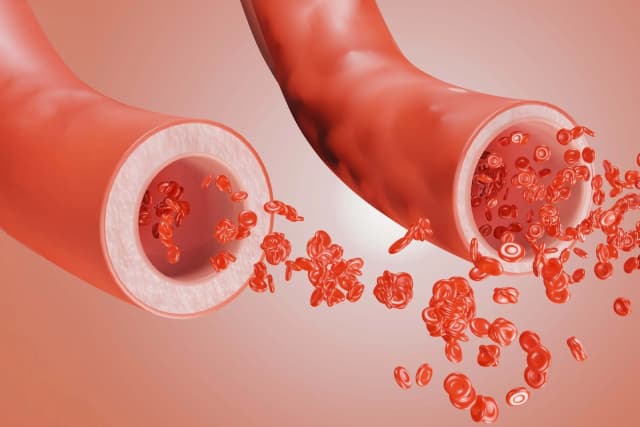 (Love Employee/Shutterstock)