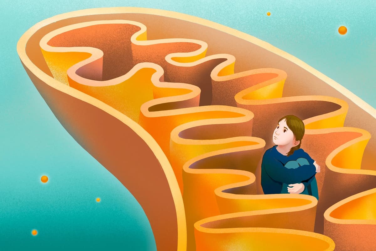 (Ilustración de Lumi Liu)