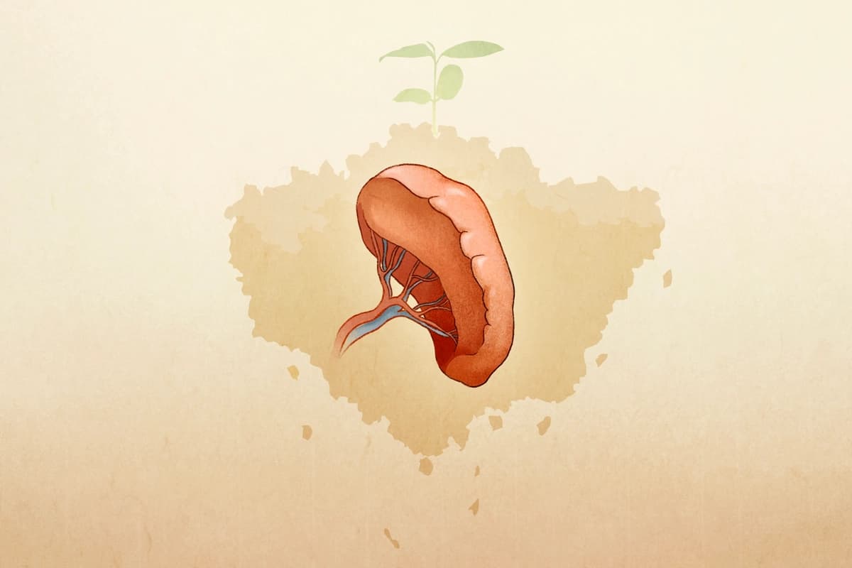 (Ilustración de The Epoch Times, Shutterstock)