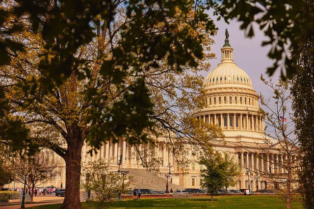 Árboles y flores florecen frente al edificio del Capitolio de EE. UU., en Washington, D.C., el 13 de abril de 2026. (Heather Diehl/Getty Images)