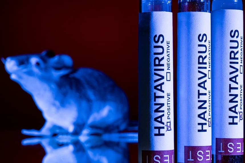 Dos estadounidenses dan positivo o presentan síntomas de hantavirus: lo que hay que saber