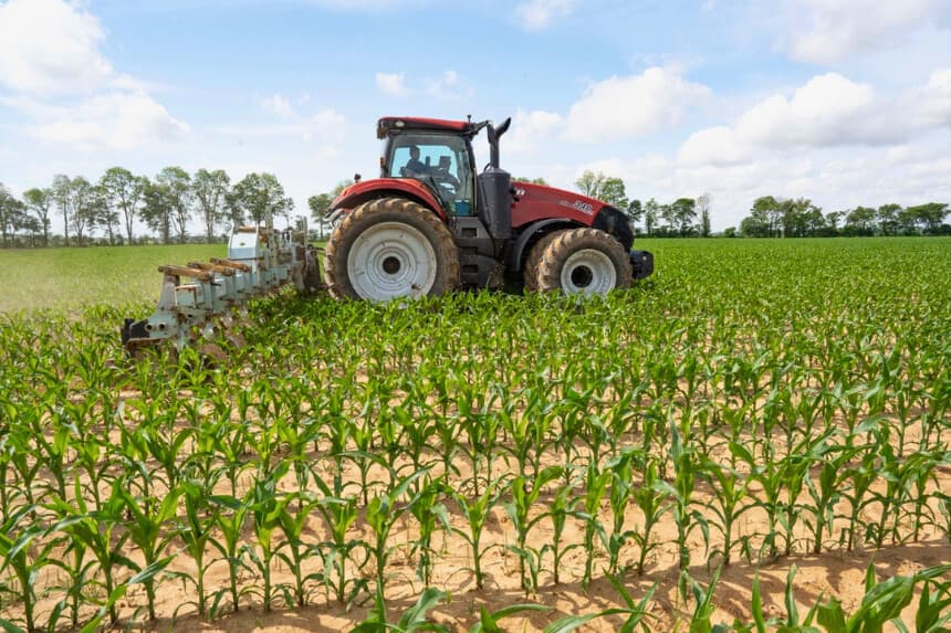 ONU advierte que interrupción del tráfico en el estrecho de Ormuz provocaría crisis alimentaria global