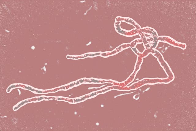 (Ilustración de The Epoch Times, Shutterstock)