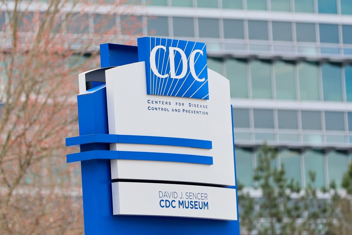 Una docena de personas en un crucero enferman con síntomas gastrointestinales: CDC