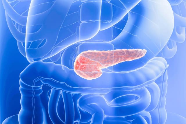 Nuevo medicamento prolongaría la vida a los pacientes con cáncer de páncreas. (ART-ur/Shutterstock).