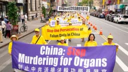 Senador Shiff copatrocina proyecto de ley contra la sustracción forzada de órganos en China