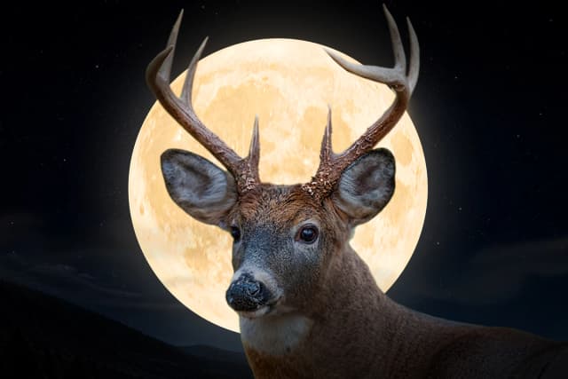 Una representación de la Luna Llena "Ciervo". (The Epoch Times/Shutterstock/Hermoso paisaje/Jim Cumming).