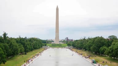 Trump dice que se detuvo a 6 personas y se multó a 7 por los daños causados en el estanque reflectante