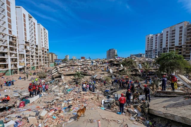 Un perro de rescate del equipo argentino de búsqueda y rescate busca cuerpos entre los escombros de un edificio derrumbado en el estado de La Guaira, Venezuela, el 28 de junio de 2026. (Miguel Medina/Reuters).