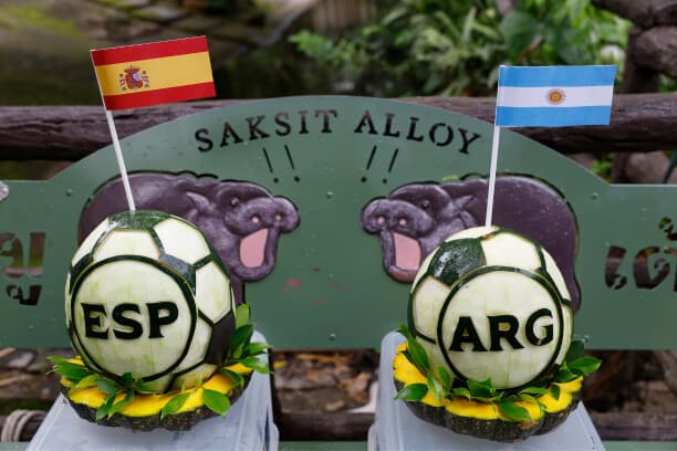 El hipopótamo pigmeo tailandés Moo Deng, que en 2024 conquistó las redes sociales, predijo este sábado que la selección argentina se impondrá a la española en la final del Mundial. El animal eligió una sandía preparada por sus cuidadores en la que aparecían las letras ARG y coronada con una bandera de ese país. EFE/ RUNGROJ YONGRIT
