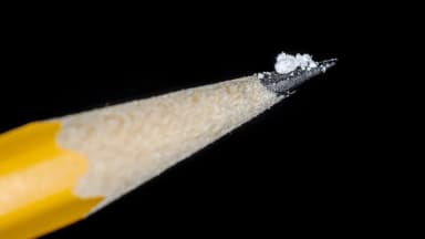 DEA incauta casi 3.2 millones de pastillas de fentanilo en cuatro estados