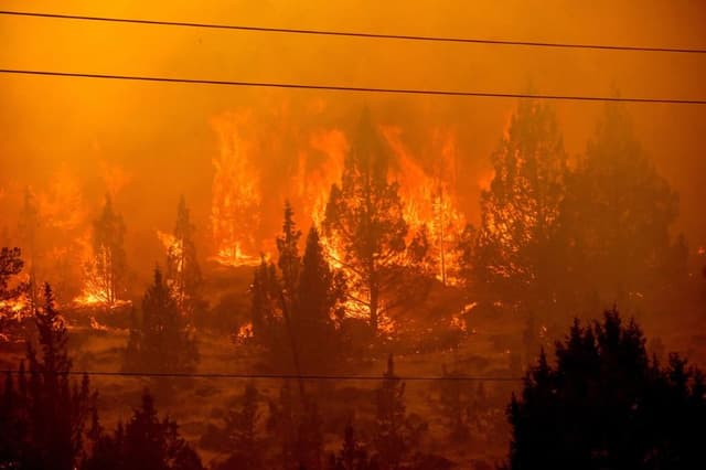Las llamas consumen la vegetación a lo largo de Jackson Trail Rd. mientras el incendio de Bench arde en Warm Springs, Oregón, el 25 de julio de 2026. (Noah Berger/AP)
