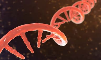 Universidad china revisa investigación sobre edición genética tras muerte de niña de 6 años