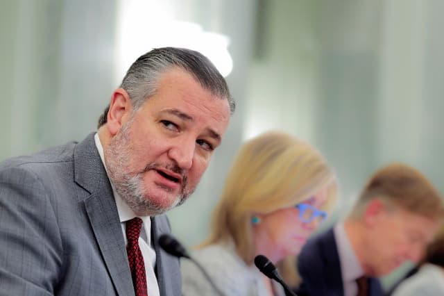 Senador de Estados Unidos Ted Cruz, republicano por Texas (Heather Diehl/Getty Images)