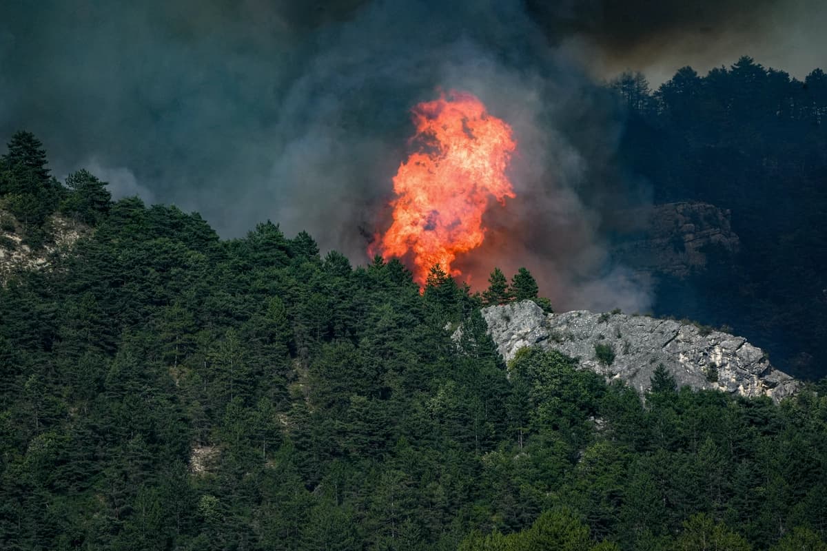 Qué les espera a los 474 detenidos por los incendios forestales de este verano en Francia