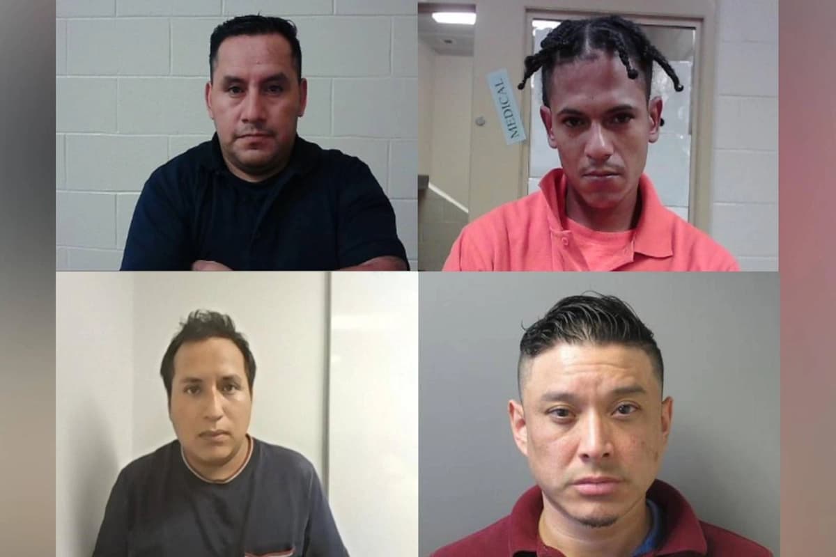 En el sentido de las agujas del reloj, desde la parte superior izquierda: Arnulfo Nolberto Quizhpi-Sanchez, Lenny Guitierrez-Pichardo, Harvin Rivera-Guardado y Jason Tocagon-Leon son algunos de los detenidos en la operación de cuatro días del ICE llevada a cabo en Connecticut. (Cortesía del ICE).