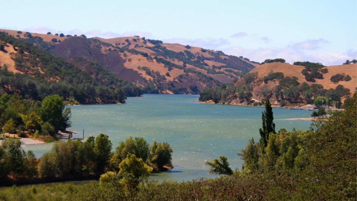 Autoridades ordenan cuarentena para embarcaciones por mejillones invasores en el lago Del Valle