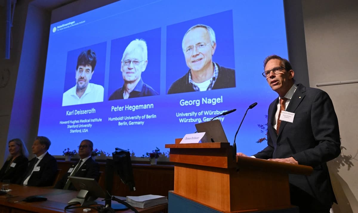 Tres científicos reciben el Premio Nobel por sus investigaciones sobre la actividad cerebral
