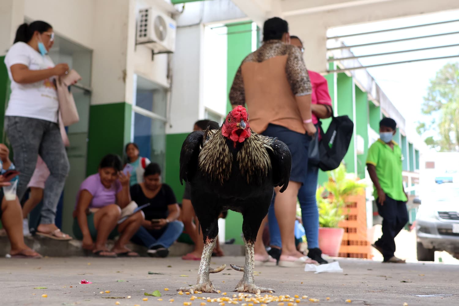 Imagen de Latinoamérica
